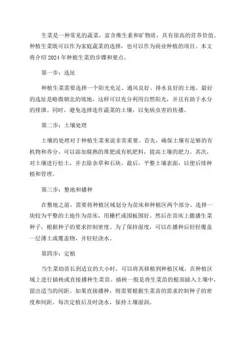 2024年生菜怎样种植范文