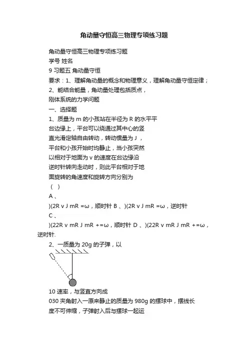 角动量守恒高三物理专项练习题