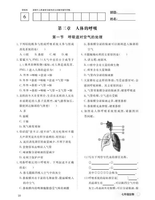 人教版作业本-初中生物 七年级 下册  一课一练-10