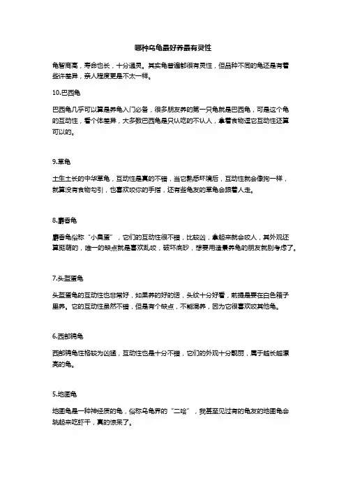 哪种乌龟最好养最有灵性