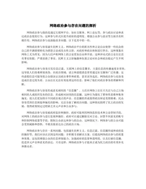 网络政治参与存在问题的探析