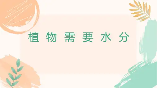 《植物需要水分》(课件)粤教版科学五年级上册