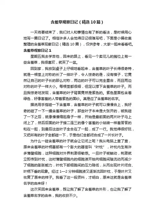 含羞草观察日记（精选10篇）