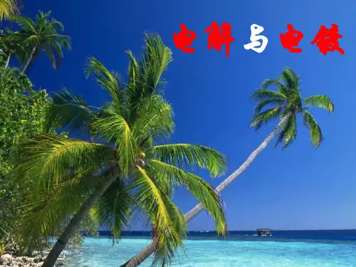 课题2 电解与电镀