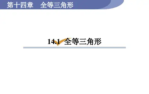 沪科版八年级数学上册1全等三角形课件