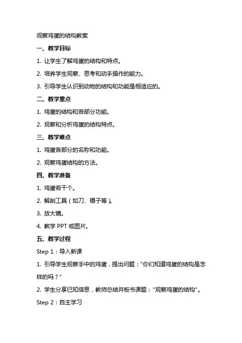 观察鸡蛋的结构教案