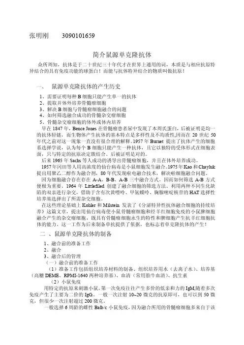 简介鼠源单克隆抗体