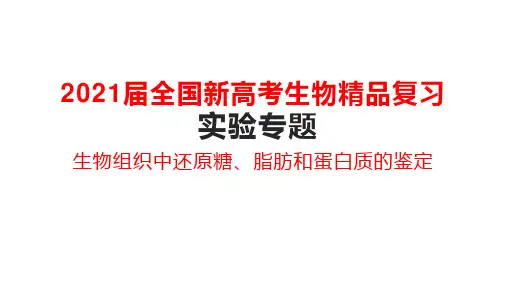 2021届全国新高考生物精品复习 实验专题 生物组织中还原糖、脂肪和蛋白质的鉴定
