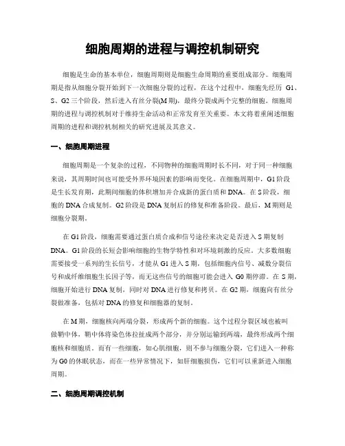 细胞周期的进程与调控机制研究
