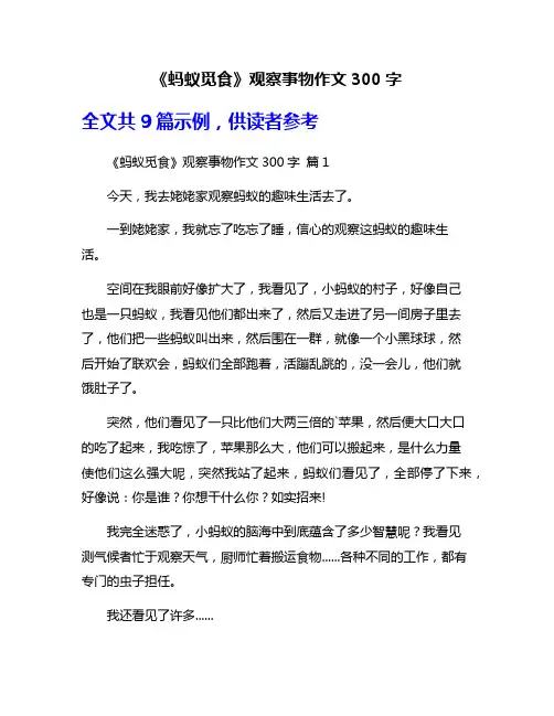 《蚂蚁觅食》观察事物作文300字
