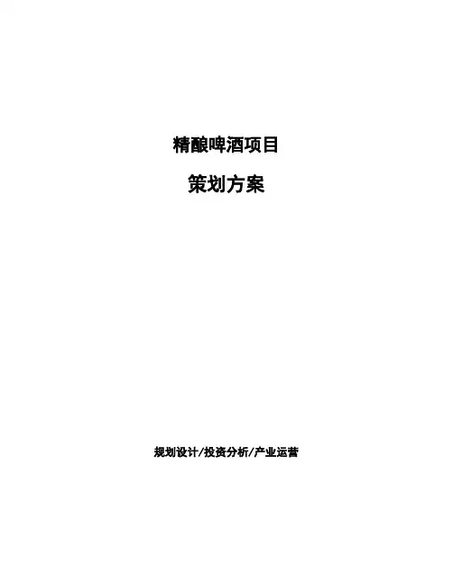 精酿啤酒项目策划方案