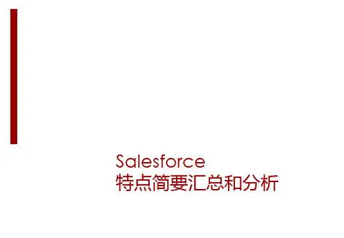 salesforce快速了解和分析课件