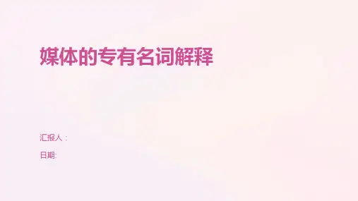 媒体的专有名词解释