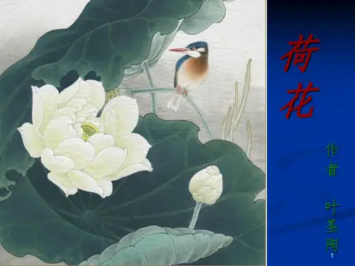 苏教版小学三年级语文下册《荷花