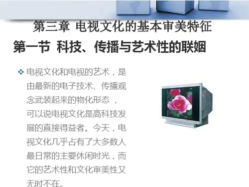 电视文化的基本审美特征
