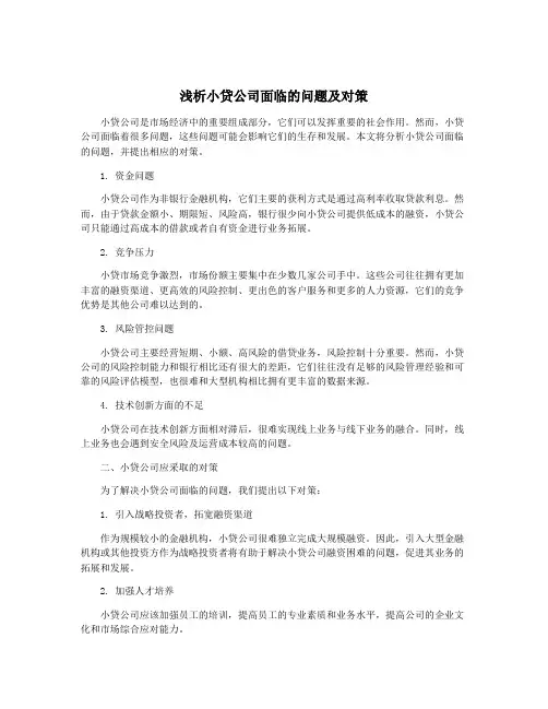 浅析小贷公司面临的问题及对策