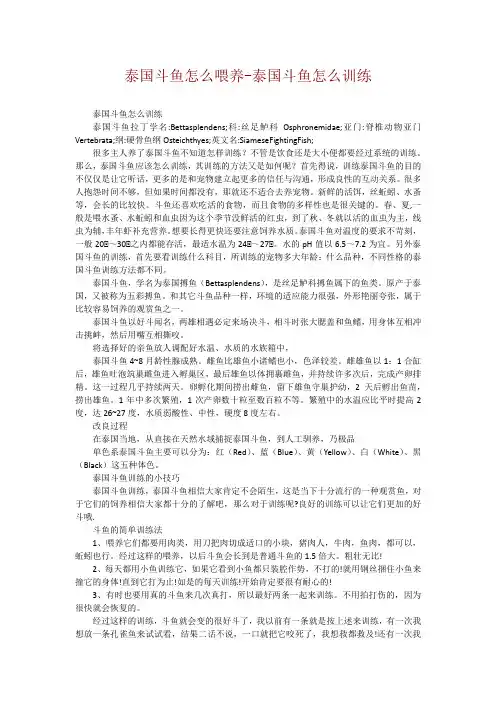 泰国斗鱼怎么喂养-泰国斗鱼怎么训练
