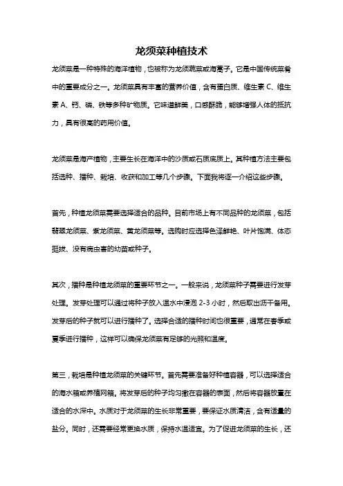 龙须菜种植技术