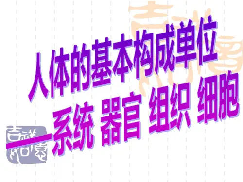 人体的基本构成单位——系统 器官 组织 细胞