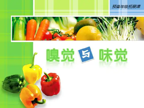 (完整版)嗅觉与味觉课件