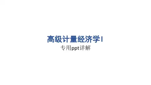 高级计量经济学I导论 