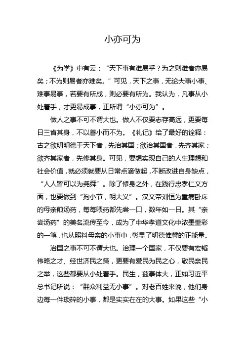 小亦可为