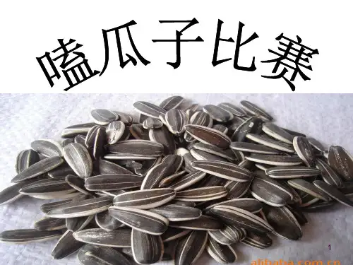 嗑瓜子比赛(公开课)ppt课件