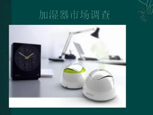 加湿器市场调查和设计2013