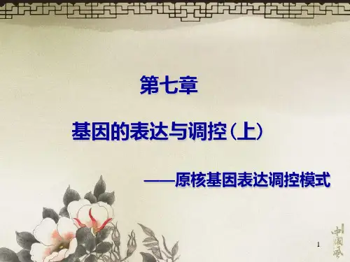 第7章原核基因表达调控上PPT课件