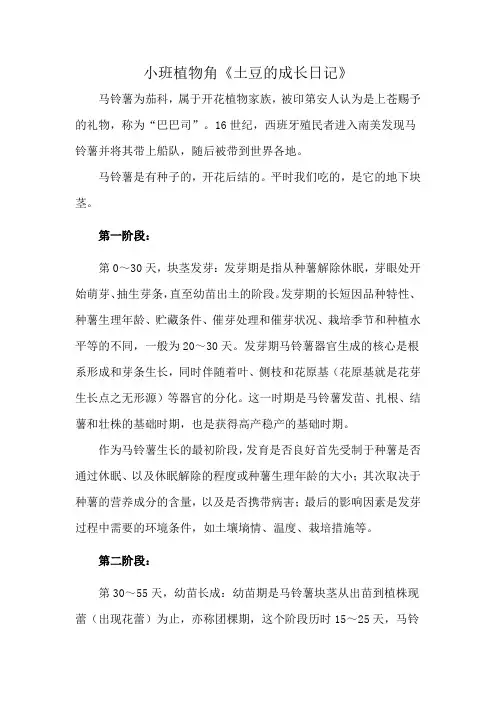 小班植物角《土豆的成长日记》