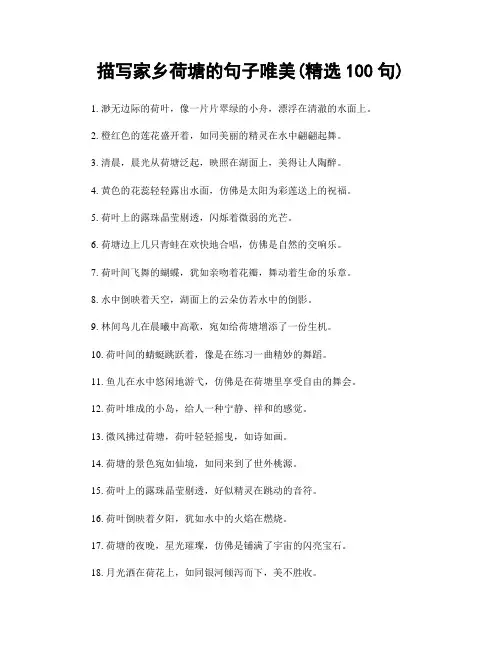 描写家乡荷塘的句子唯美(精选100句)