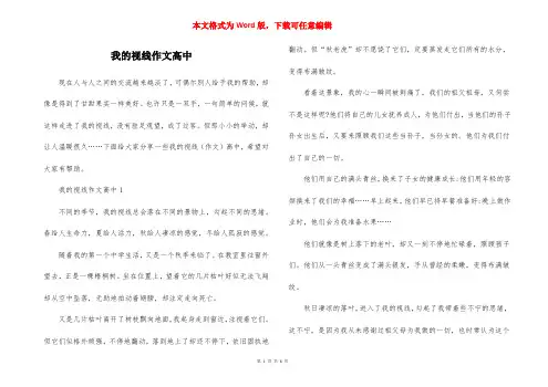 我的视线作文高中