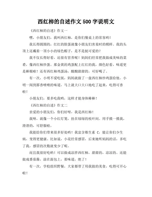 西红柿的自述作文500字说明文