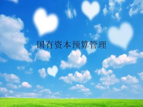 国有资本预算管理