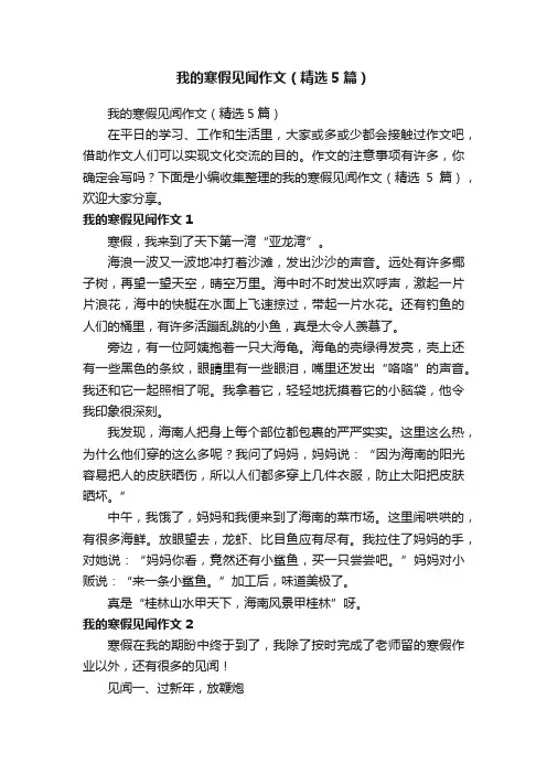 我的寒假见闻作文（精选5篇）