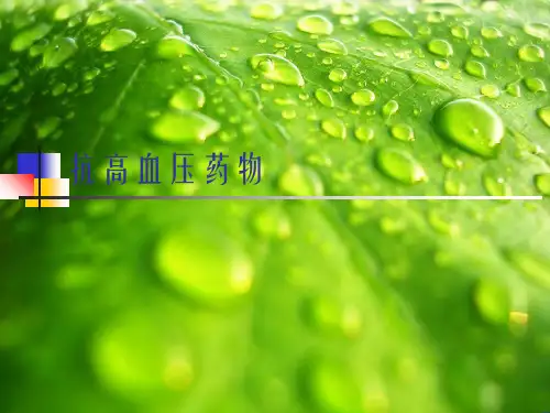 《抗高血压药物》幻灯片PPT
