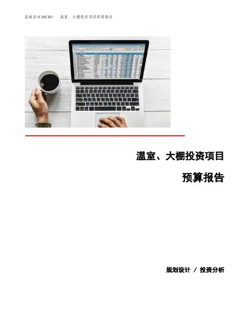 温室、大棚投资项目预算报告
