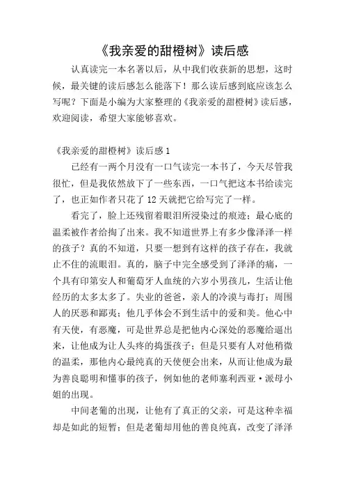 《我亲爱的甜橙树》读后感