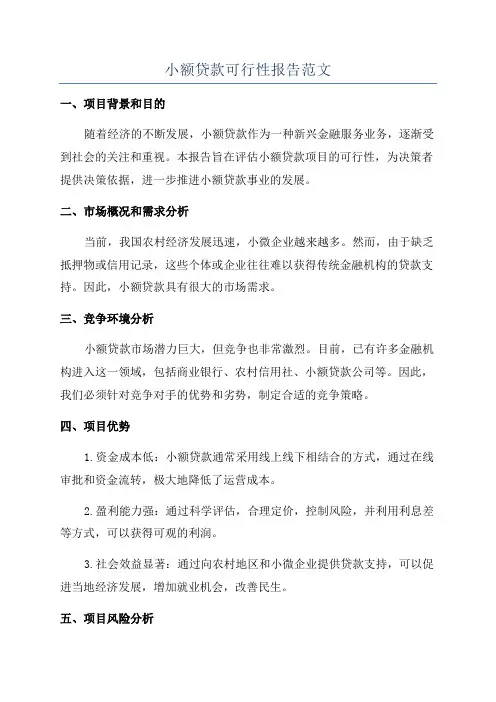 小额贷款可行性报告范文