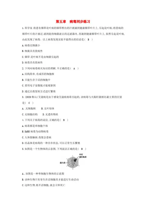 八年级生物上册 第五单元 生物圈中的其他生物 第5章 病毒同步练习(新版)新人教版