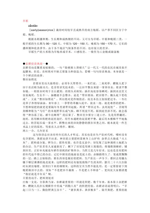 水稻知识