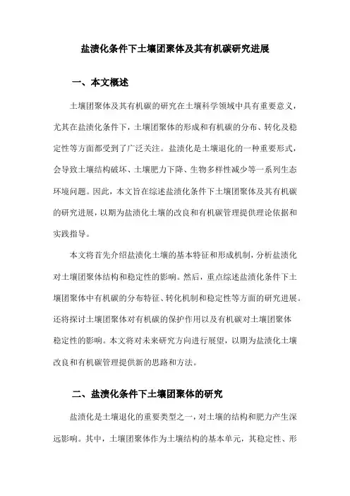 盐渍化条件下土壤团聚体及其有机碳研究进展