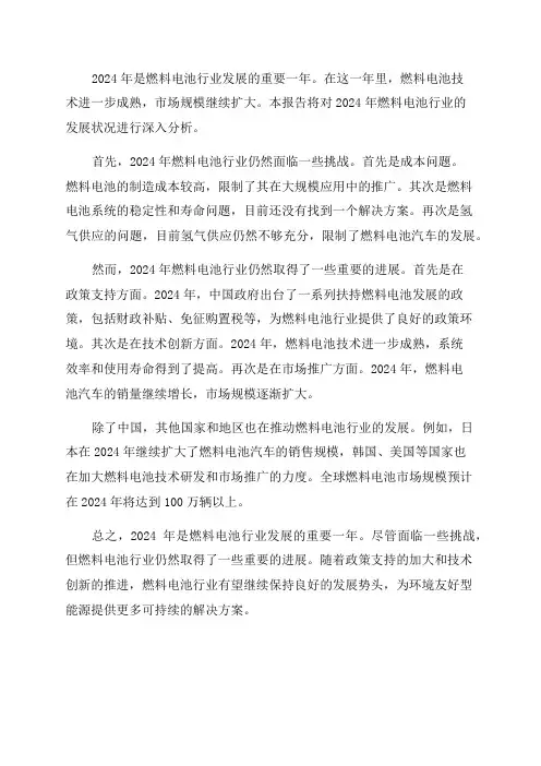 2024年燃料电池行业深度分析报告