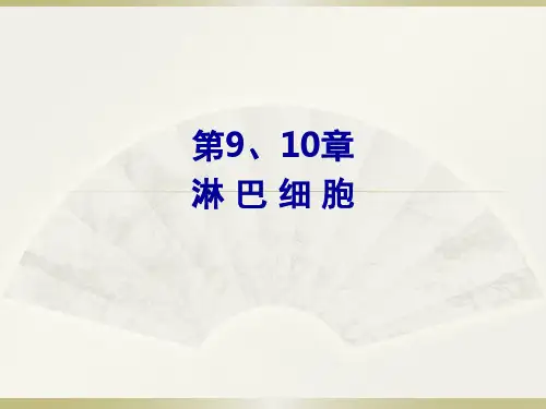 淋巴细胞