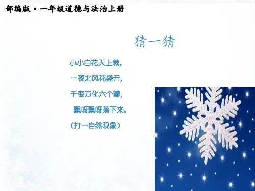 部编版道德与法治一年级上册第13课美丽的冬天ppt课件