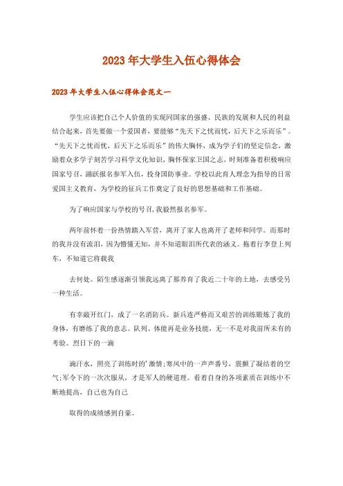 2023年杂谈_大学生入伍心得体会