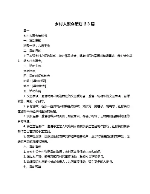 乡村大聚会策划书3篇