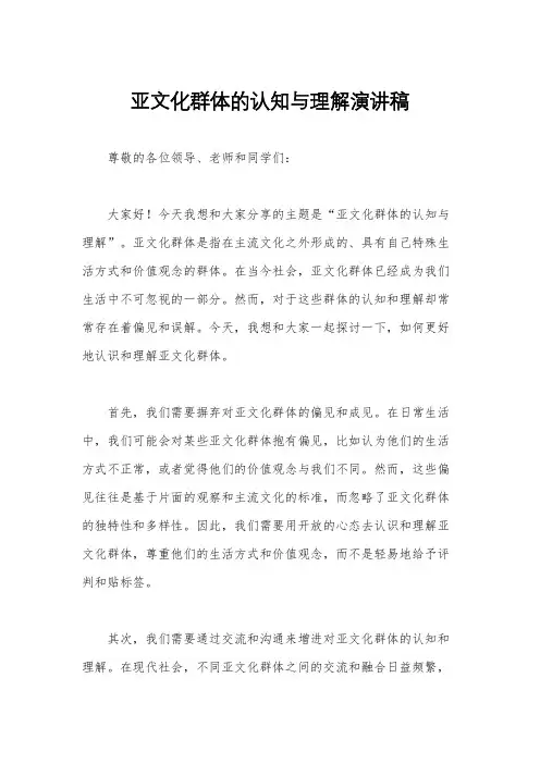 亚文化群体的认知与理解演讲稿