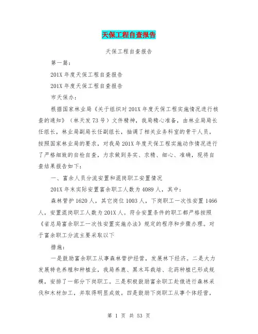 天保工程自查报告(完整版)