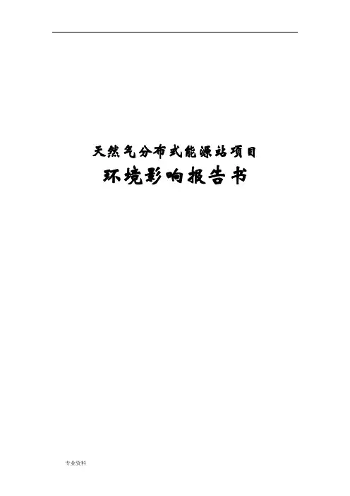 天然气分布式能源站项目可行性报告
